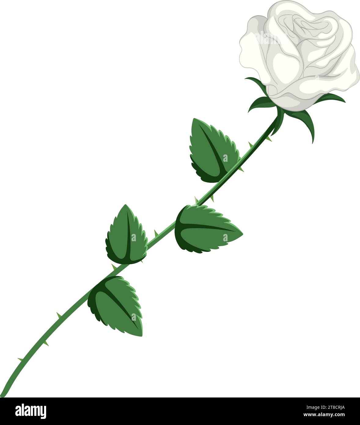 Une illustration vectorielle minimaliste d'une rose blanche Illustration de Vecteur