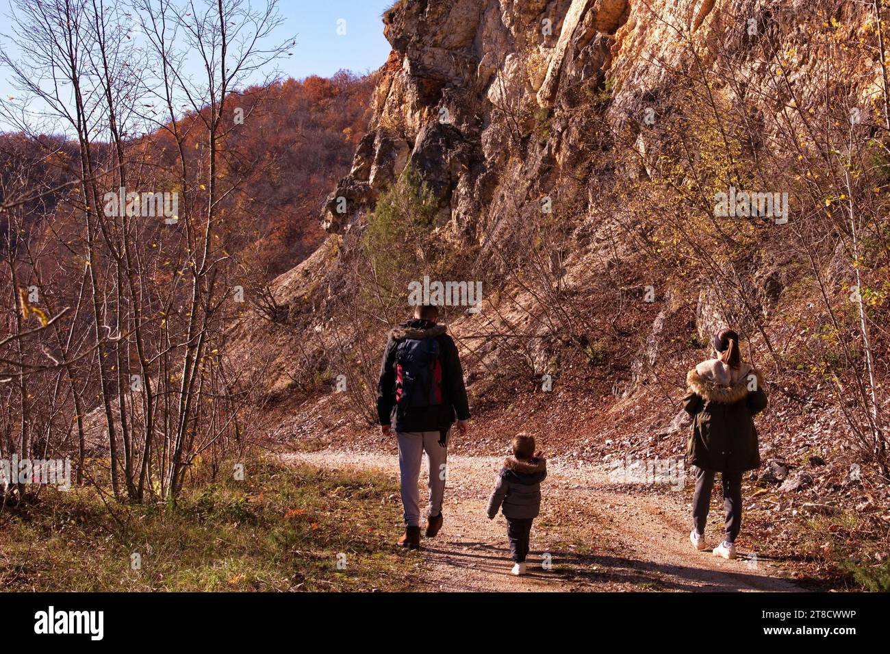 Jeune famille avec tout-petit randonnée dans les bois Banque D'Images