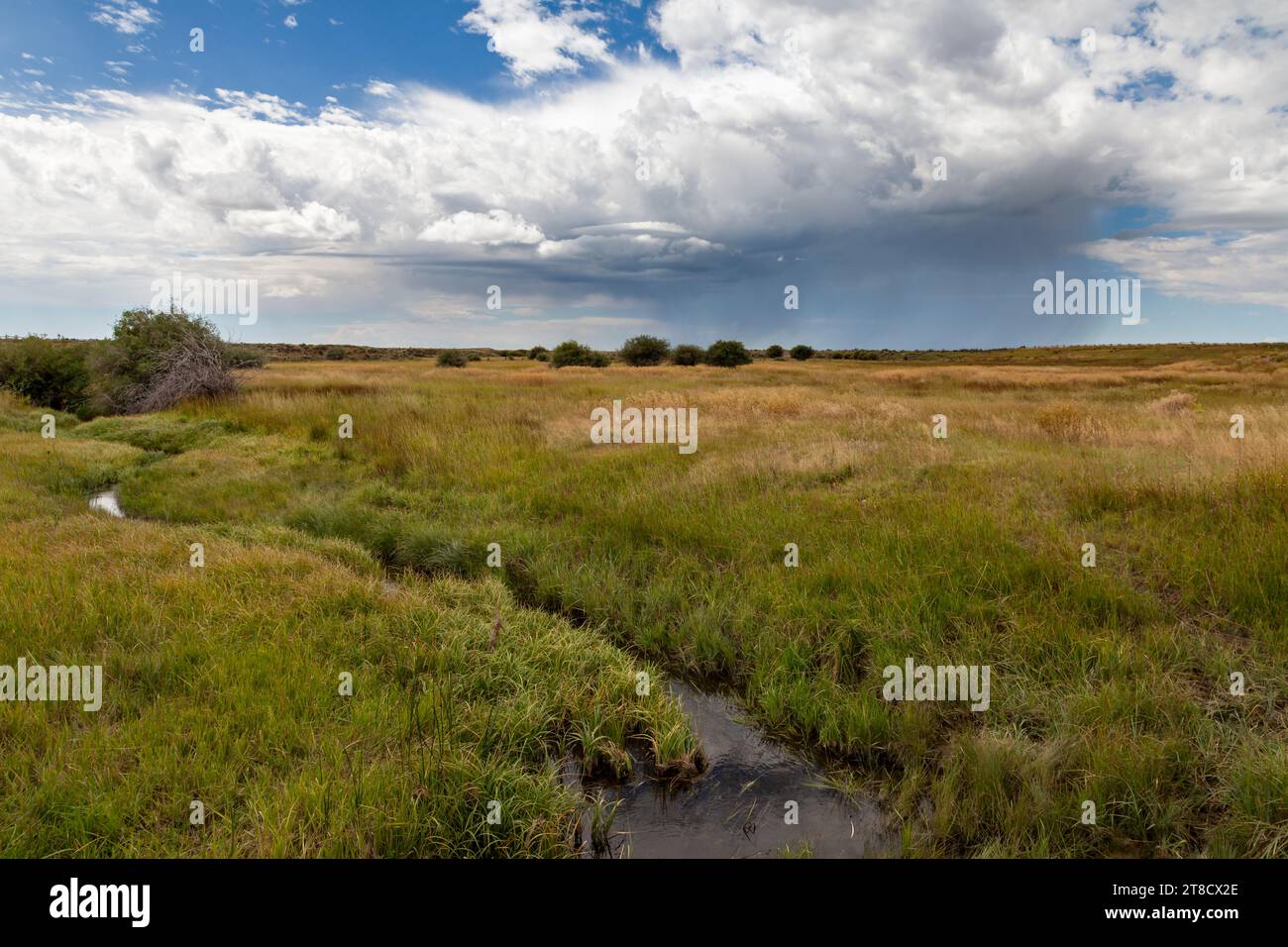 Little Sandy Crossing le long de l'Oregon et Mormon Trails dans le Wyoming était un lieu de camping et de repos populaire pour les voyageurs se dirigeant vers l'ouest vers l'Utah, Oregon, Banque D'Images