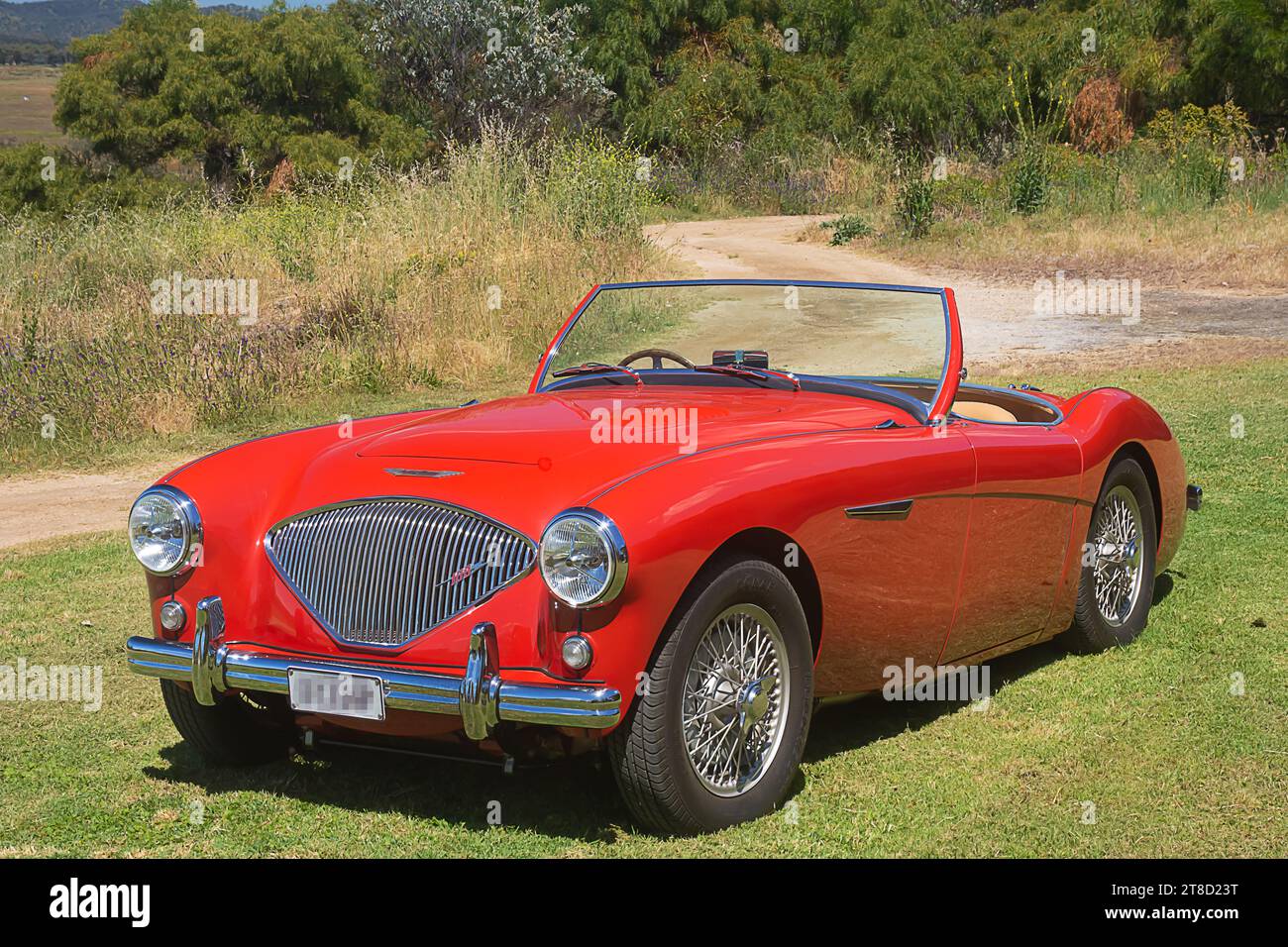 3/4 vue avant d'une Austin Healey 100 de 1952. Banque D'Images