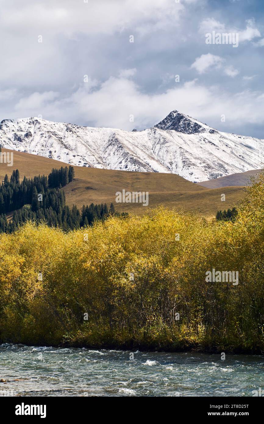 Beau paysage de rivière qui coule, buissons colorés et montagne de neige dans le Xinjiang, en Chine Banque D'Images