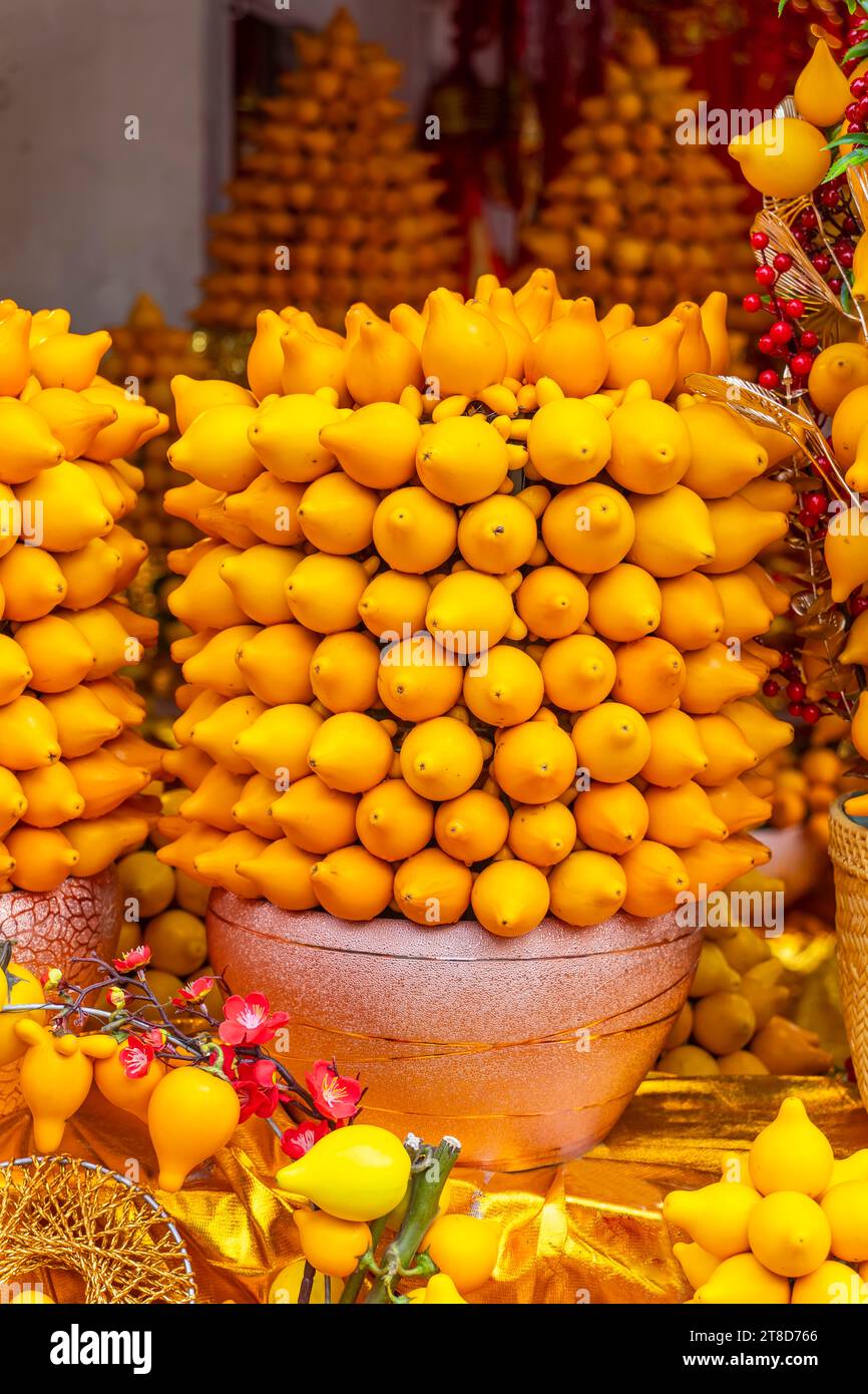 Plante ornementale solanum mammosum représentant des symboles chanceux en chinois Banque D'Images