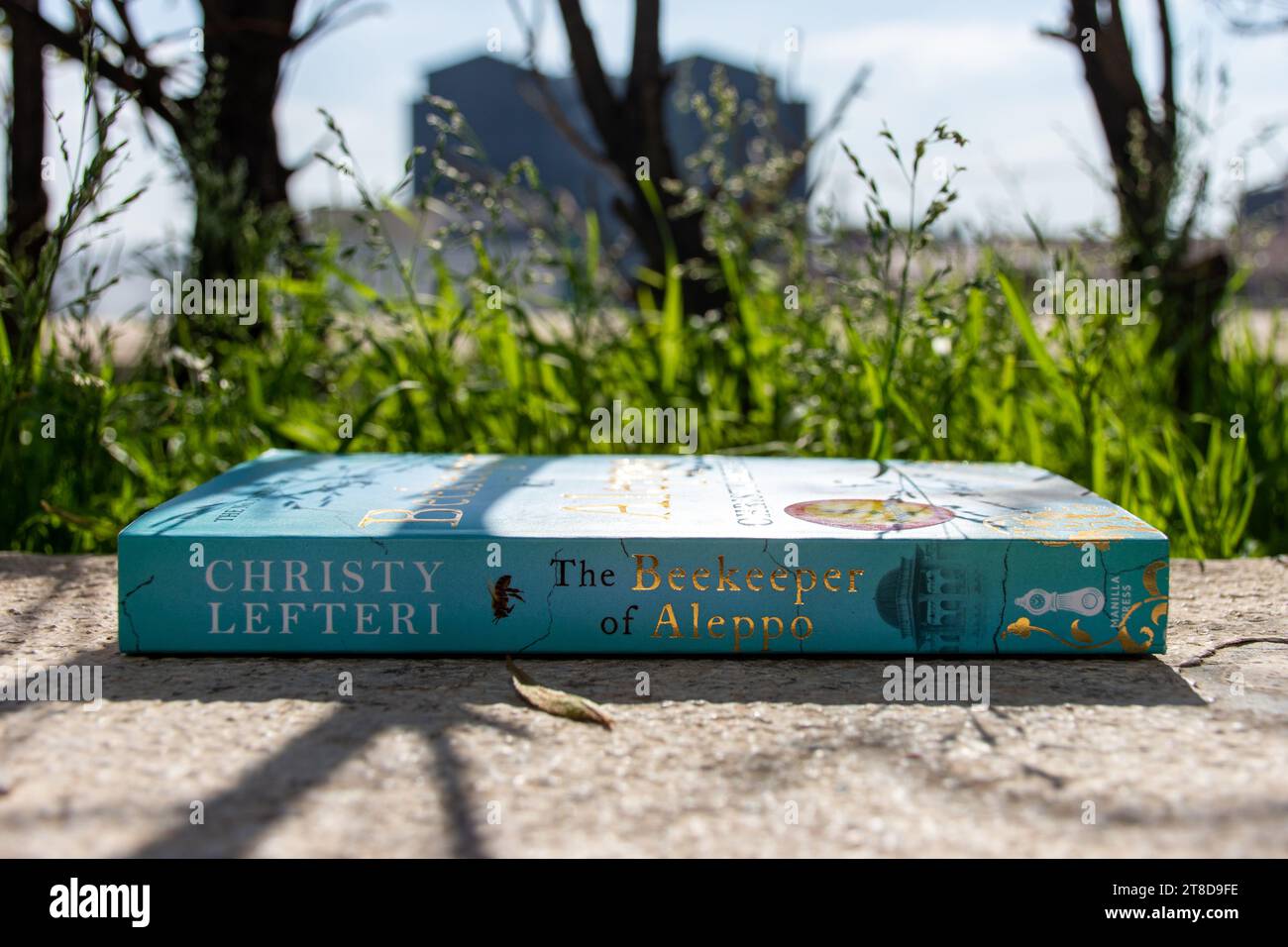 Gros plan Christy Lefteri's le roman de l'apiculteur d'Alep dans le jardin. Banque D'Images