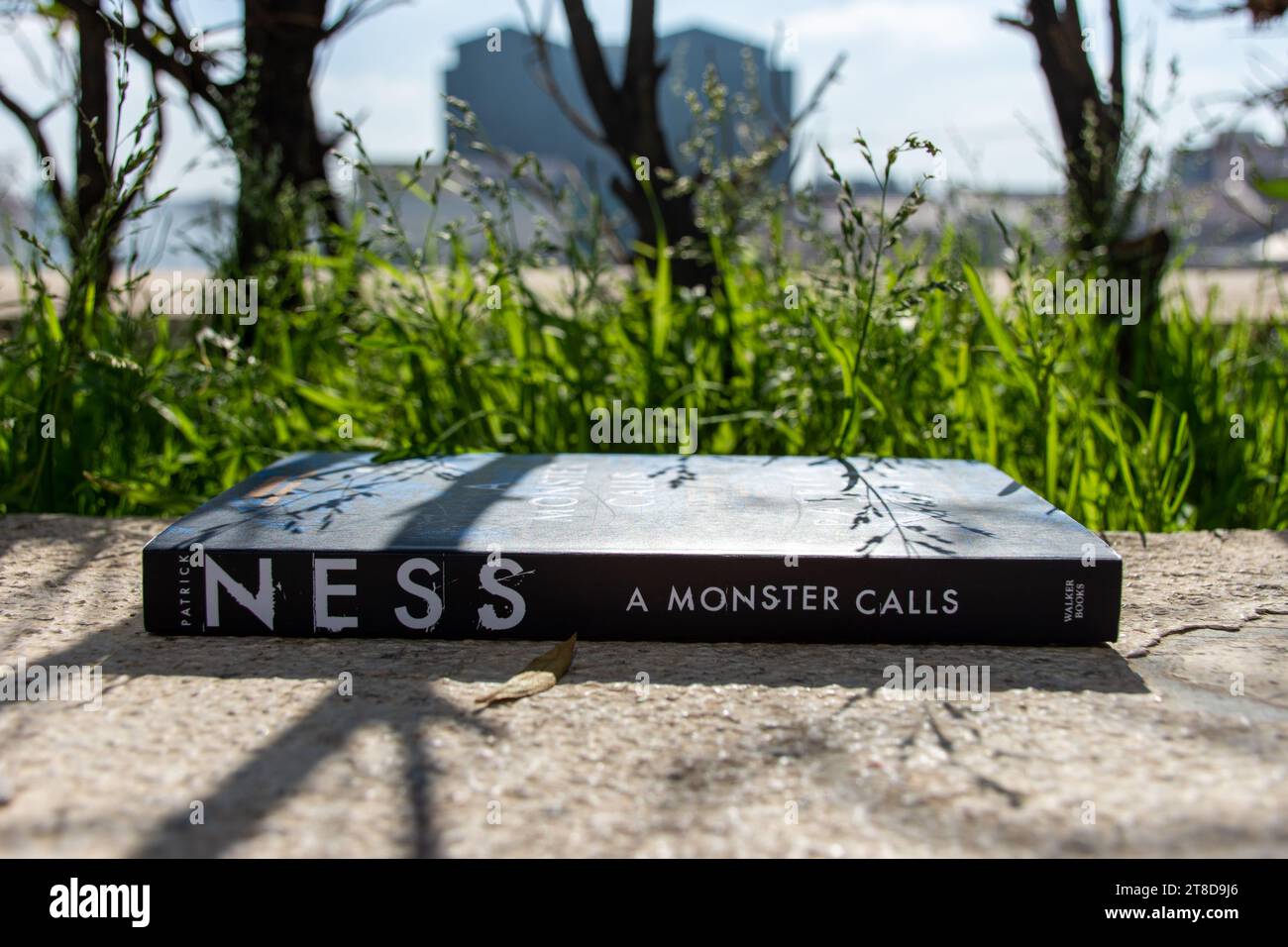 Gros plan le roman A Monster Calls de Patrick Ness dans le jardin. Banque D'Images