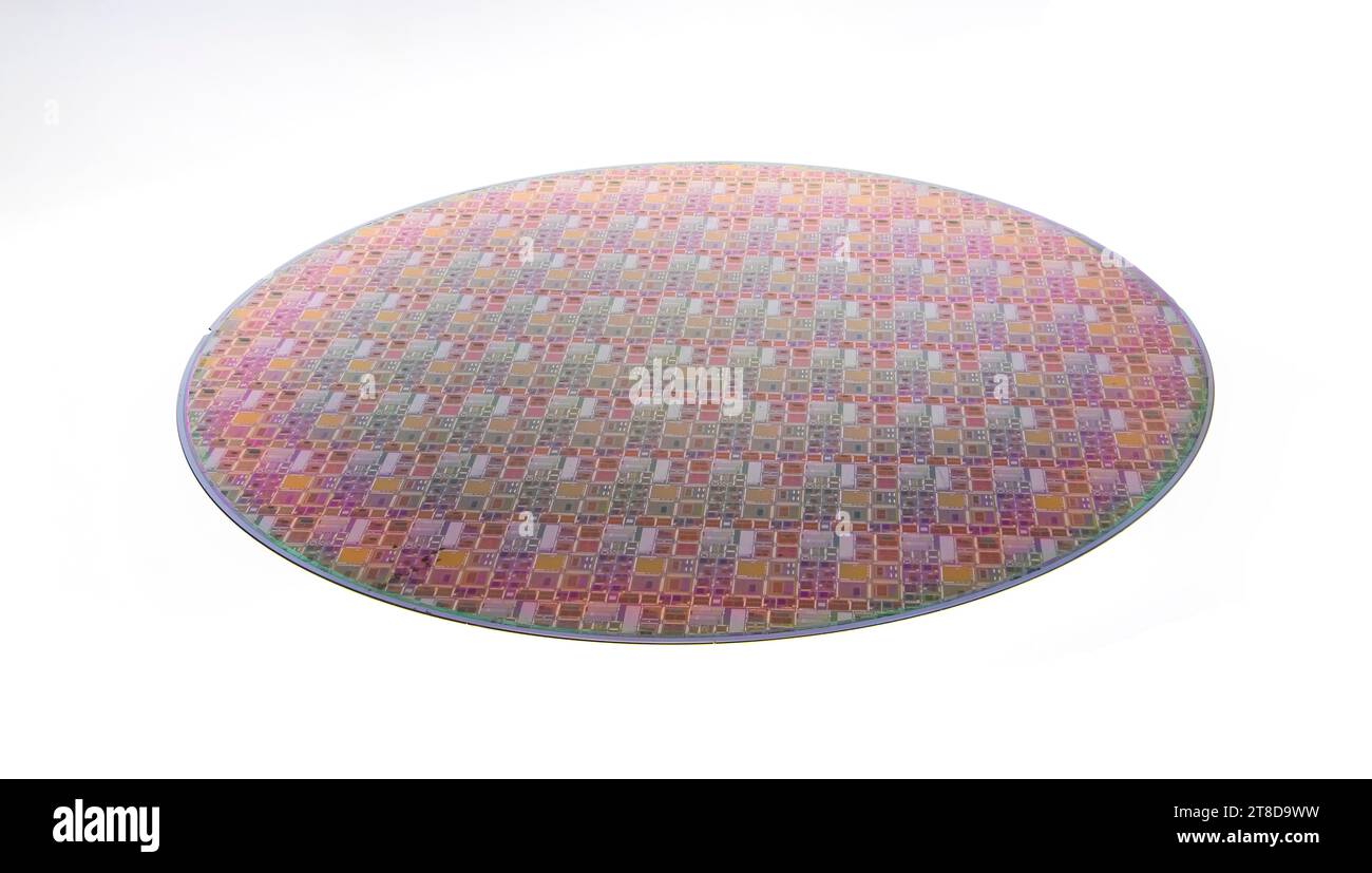 Galette de silicium avec puces isolées sur fond blanc Banque D'Images