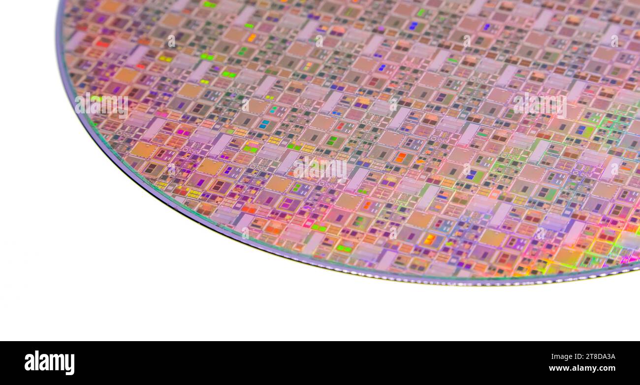 Galette de silicium avec puces isolées sur fond blanc Banque D'Images