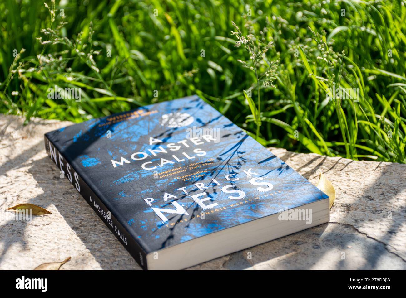Gros plan le roman A Monster Calls de Patrick Ness dans le jardin. Banque D'Images