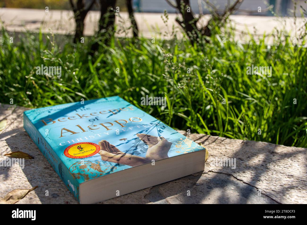 Gros plan Christy Lefteri's le roman de l'apiculteur d'Alep dans le jardin. Banque D'Images