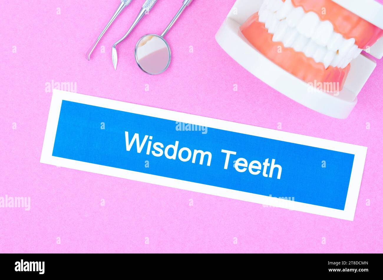 Dents de sagesse maladie dentaire et modèle de dents avec des outils sur fond de couleur rose. Banque D'Images