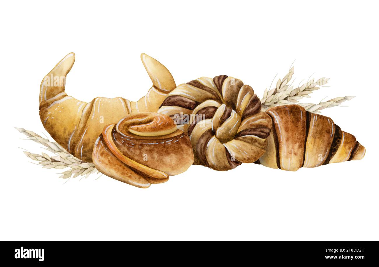 Viennoiseries et brioches tressées au chocolat cannelle illustration aquarelle pour le petit déjeuner et les dessins de pause café Banque D'Images
