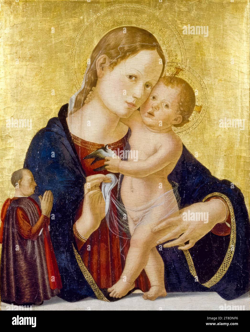 Antoniazzo Romano, Vierge et enfant, avec, donateur, peinture à la tempera sur panneau avec feuille d'or, 1480 Banque D'Images