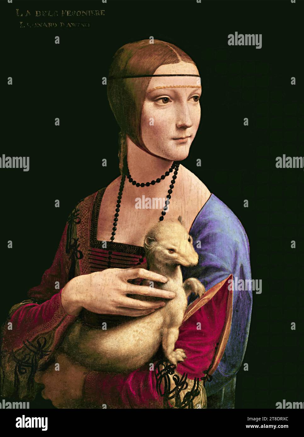'La Dame à l'Ermine (Cecilia Gallerani), c.1490 (huile et tempera sur panneau) par l'artiste Vinci, Léonard de Vinci (1452-1519) / Italien' Illustration de Vecteur