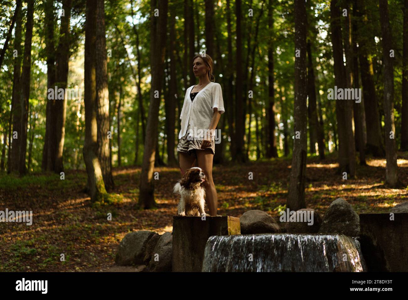Jeune femme marchant avec un chien, cavalier Charles. Banque D'Images