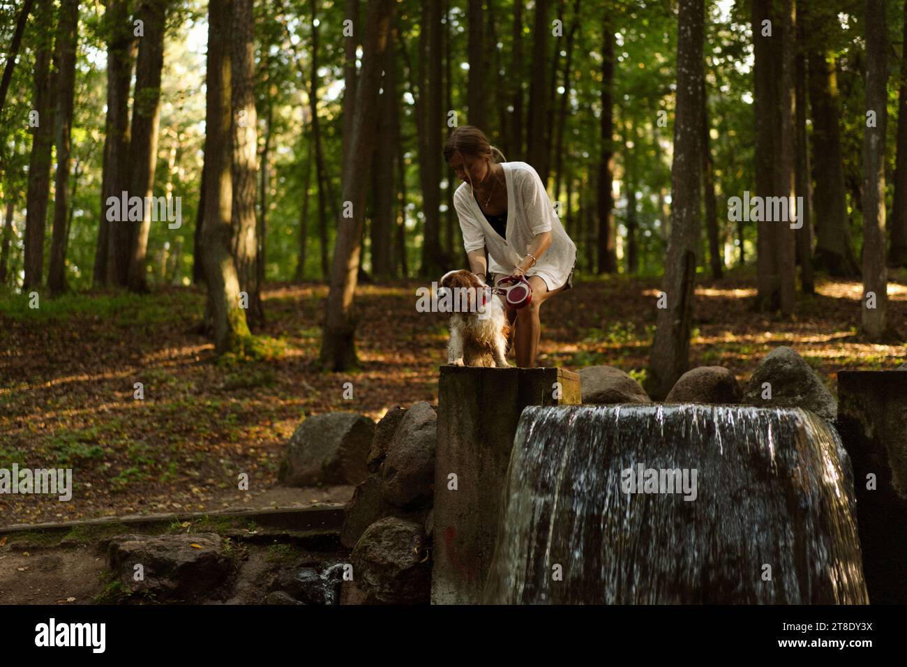 Jeune femme marchant avec un chien, cavalier Charles. Banque D'Images