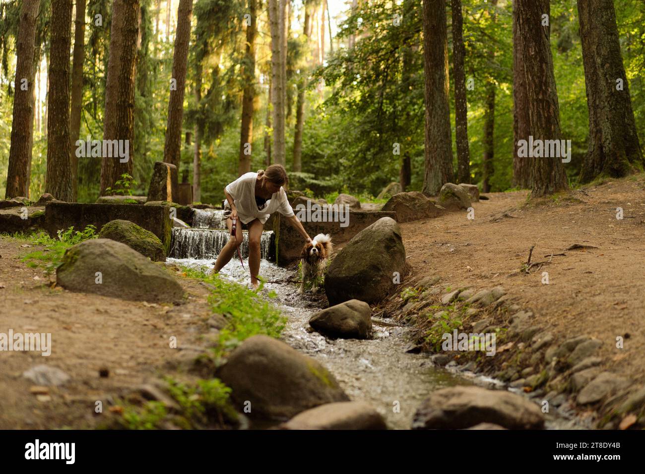 Jeune femme marchant avec un chien, cavalier Charles. Banque D'Images