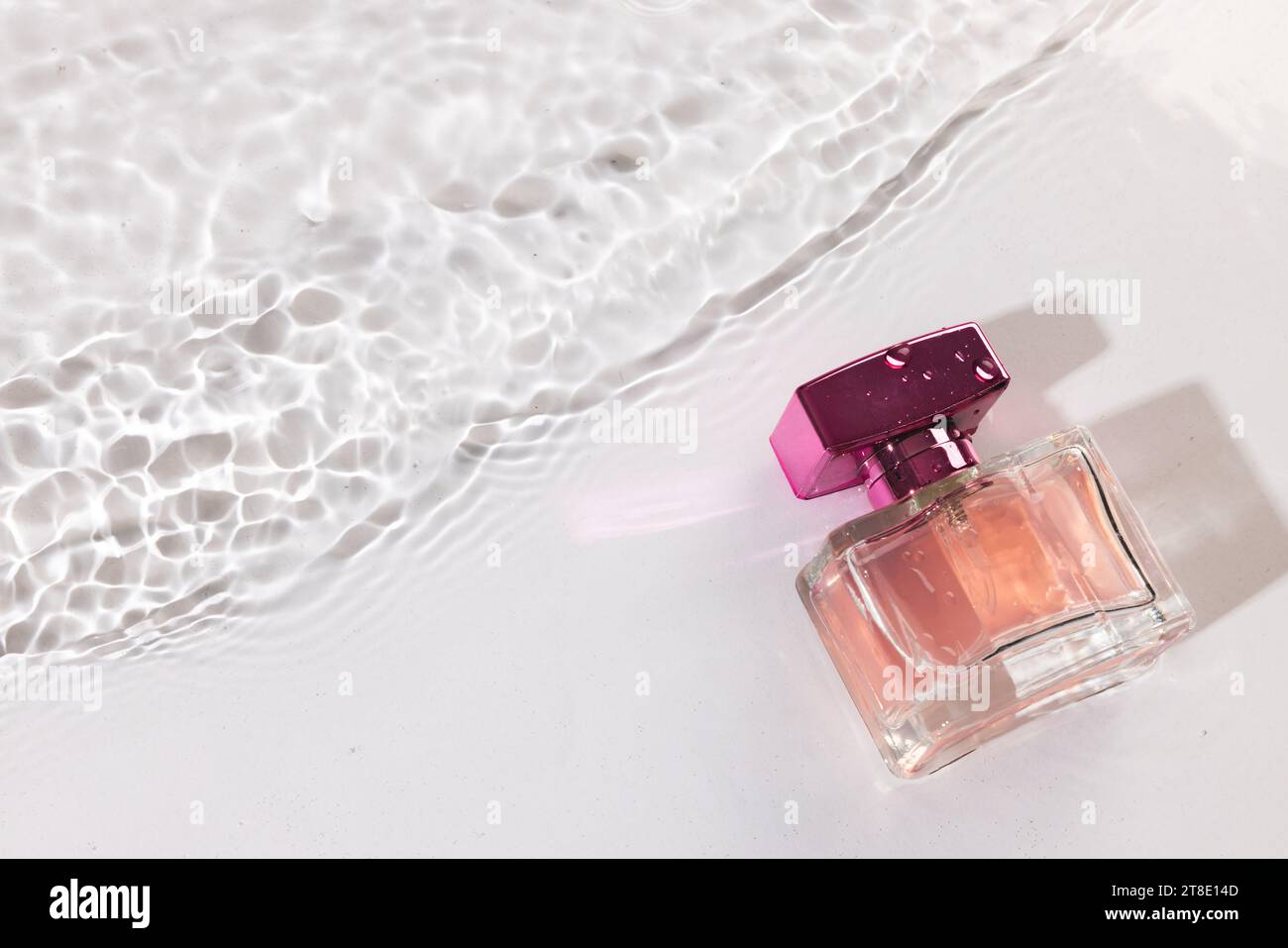 Bouteille de produit de beauté dans l'eau avec fond d'espace de copie sur fond blanc Banque D'Images