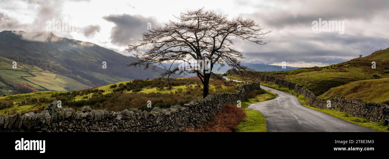 Parc national du Lake District, Cumbria, Angleterre, Royaume-Uni Banque D'Images