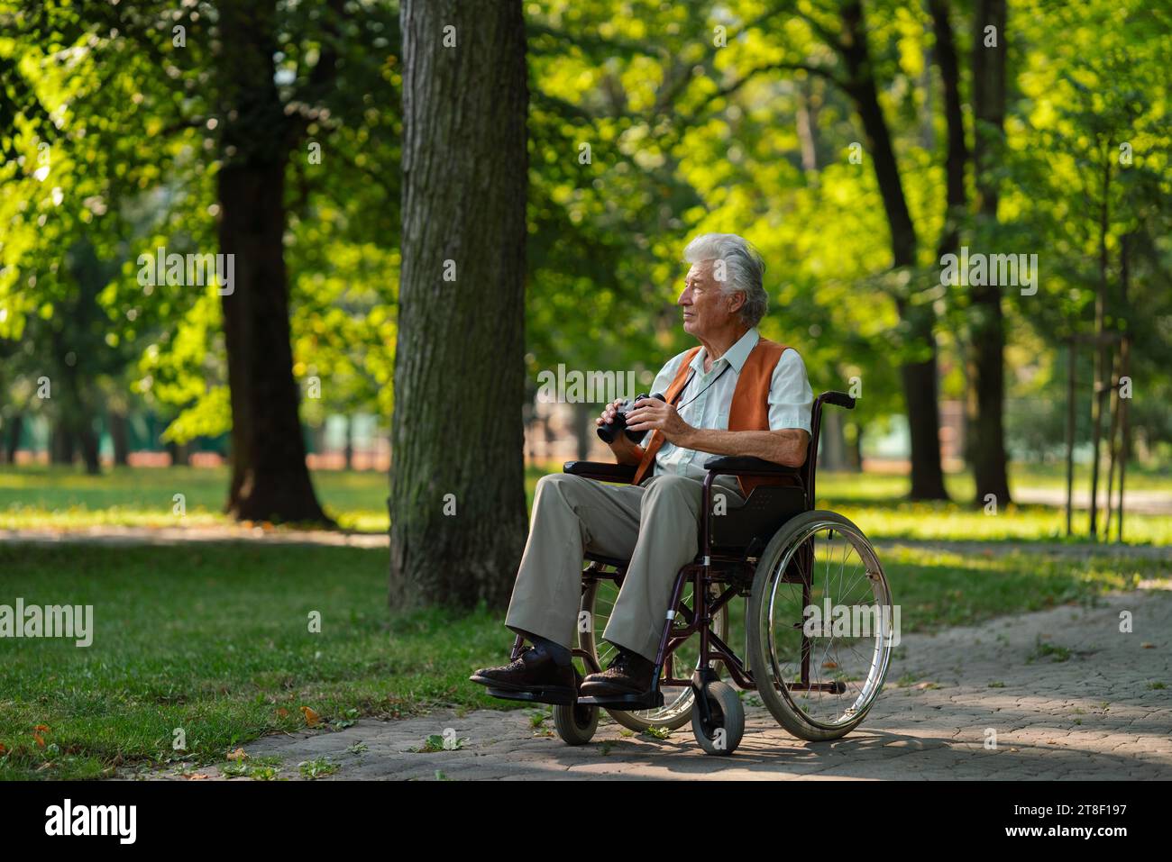 Homme âgé en fauteuil roulant passant du temps libre à l'extérieur dans la nature, observant les animaux de la forêt à l'aide de jumelles. Banque D'Images