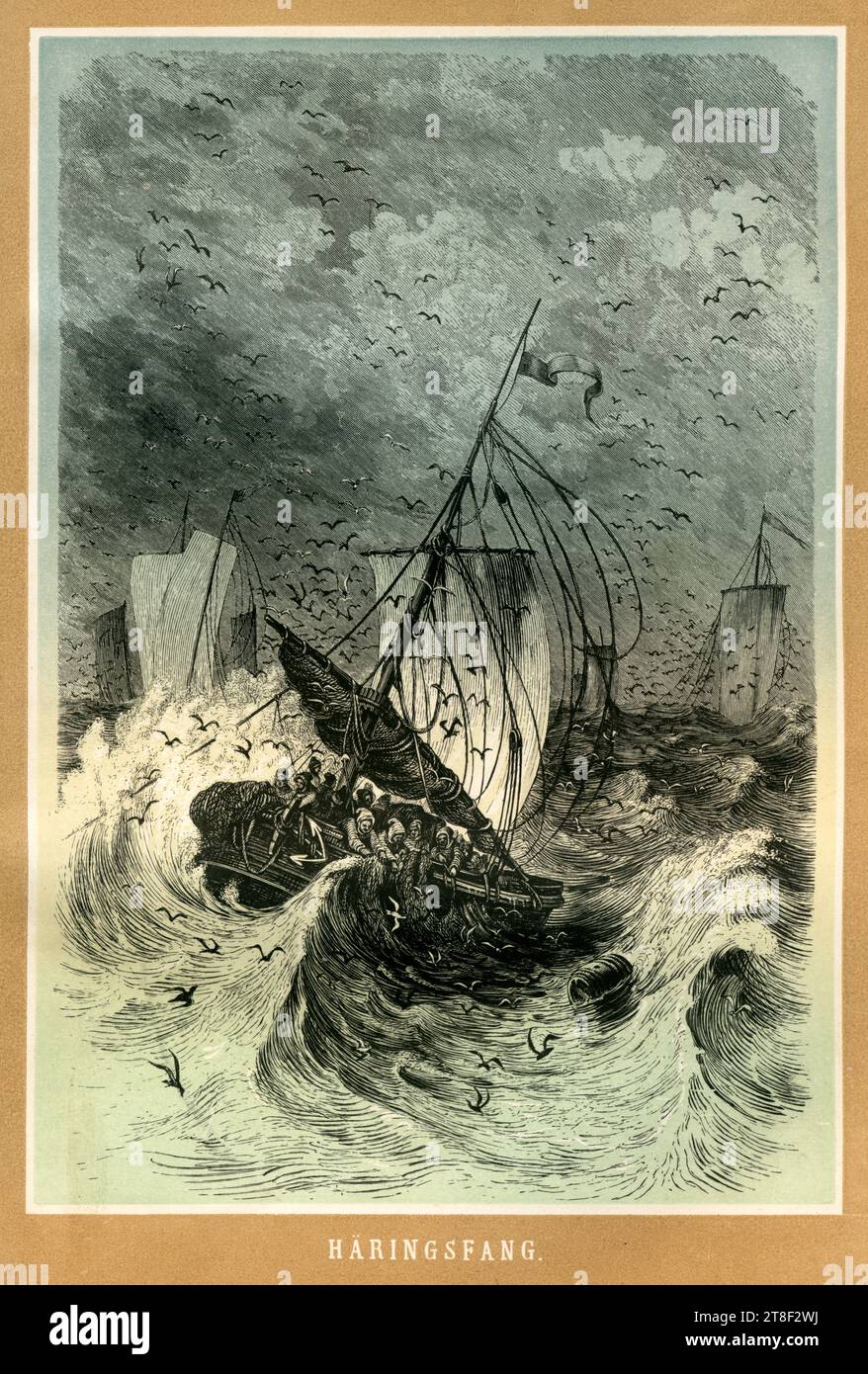 Heringsfang , Motiv aus : ' Das Leben des Meeres ' , von Georg Hartwig, Verlag von Carl Flemming, Glogau, 1862 . / Pêche au hareng, image tirée de : ' Das Leben des Meeres ' ( vie de la mer ) , par Georg Hartwig, maison d'édition Carl Flemming, Glogau, 1862 . Banque D'Images