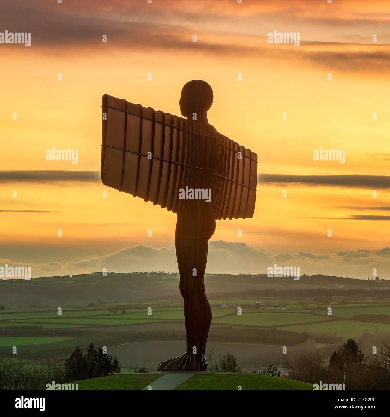 L'Ange du Nord au coucher du soleil en été regardant à travers Gateshead, Tyne et Wear, Angleterre, Royaume-Uni Banque D'Images