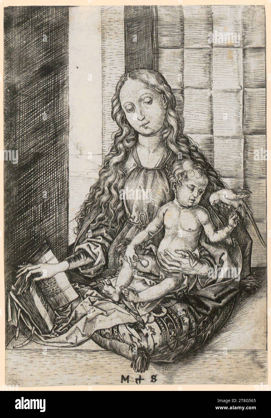 Martin Schongauer (1450 UM - 1491), artiste, Madonna avec le perroquet, origine de l'impression : 1470 - 1473, gravure sur cuivre, taille de la feuille : 15,6 x 10,8 cm, fond central monogrammé 'M + S. Banque D'Images
