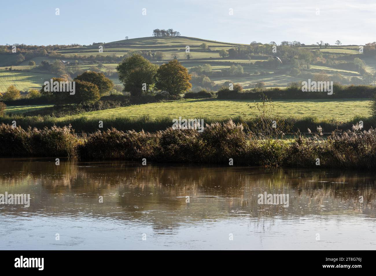 La lumière du matin brille sur la rivière Avon à Saltford près de Bath dans le nord-est du Somerset, avec Kelston Round Hill qui s'élève sur le bord des Cotswolds Hills Banque D'Images