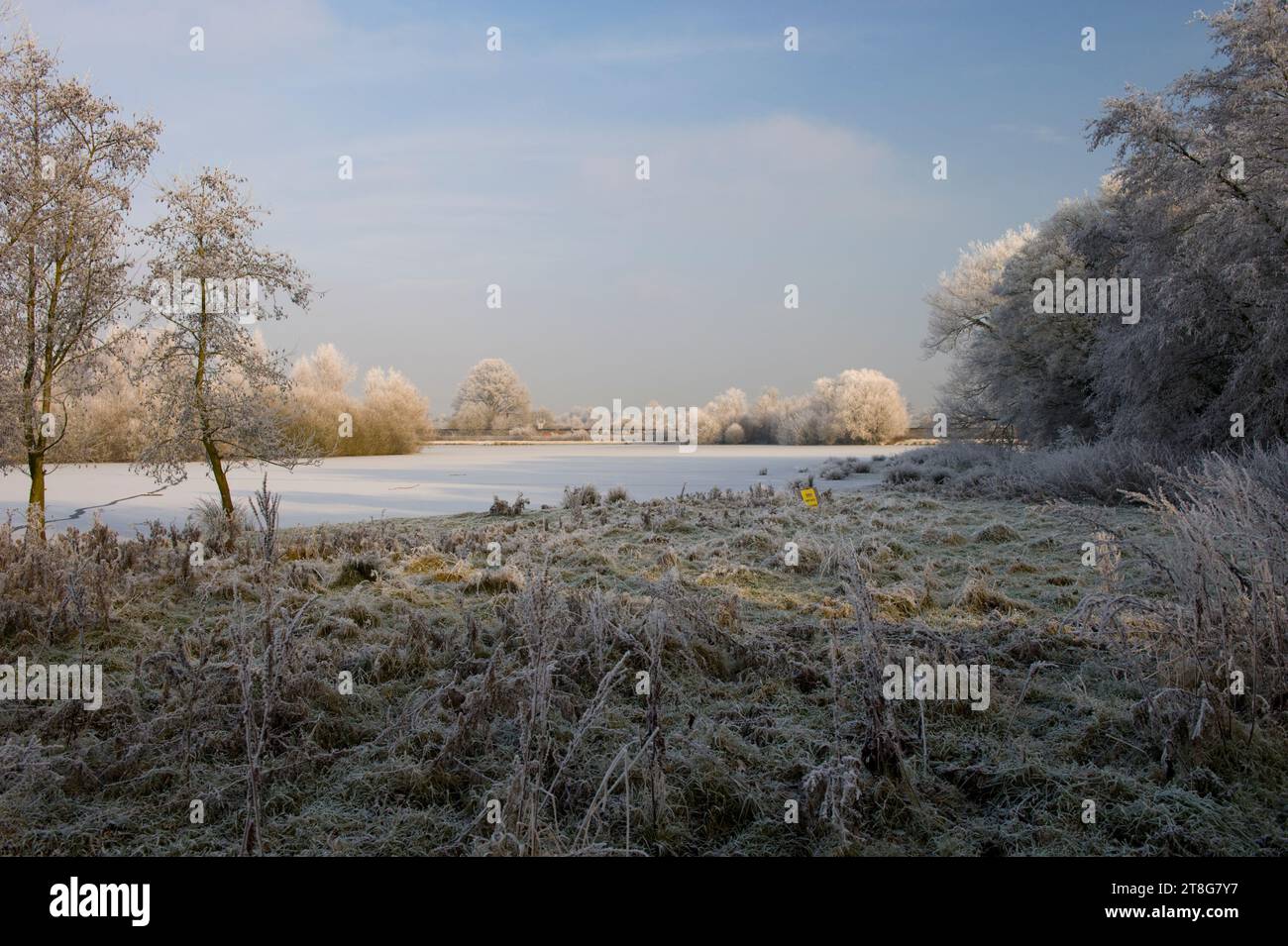 Hoare gelée et paysage gelé dans le Kent, Angleterre Banque D'Images