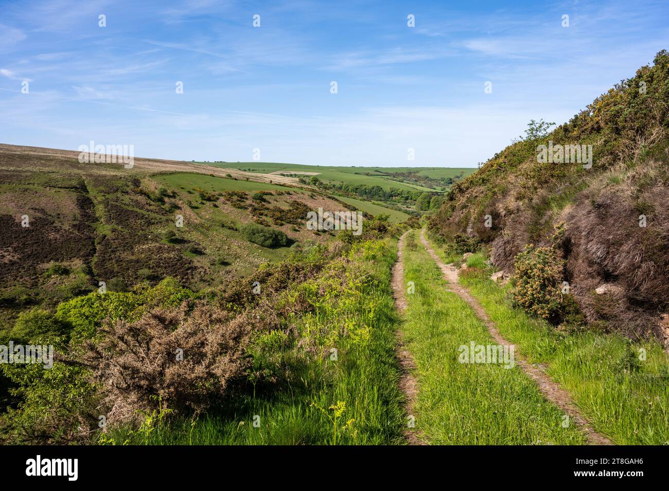 Une piste de pont traverse les hautes terres d'Exmoor, au-dessus de la vallée de l'Oare, dans le West Somerset. Banque D'Images