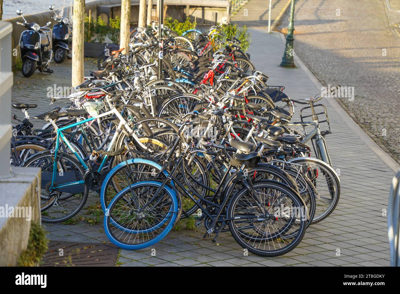 Vélos garés dans les rues de Maastricht, Limbourg, pays-Bas. Banque D'Images