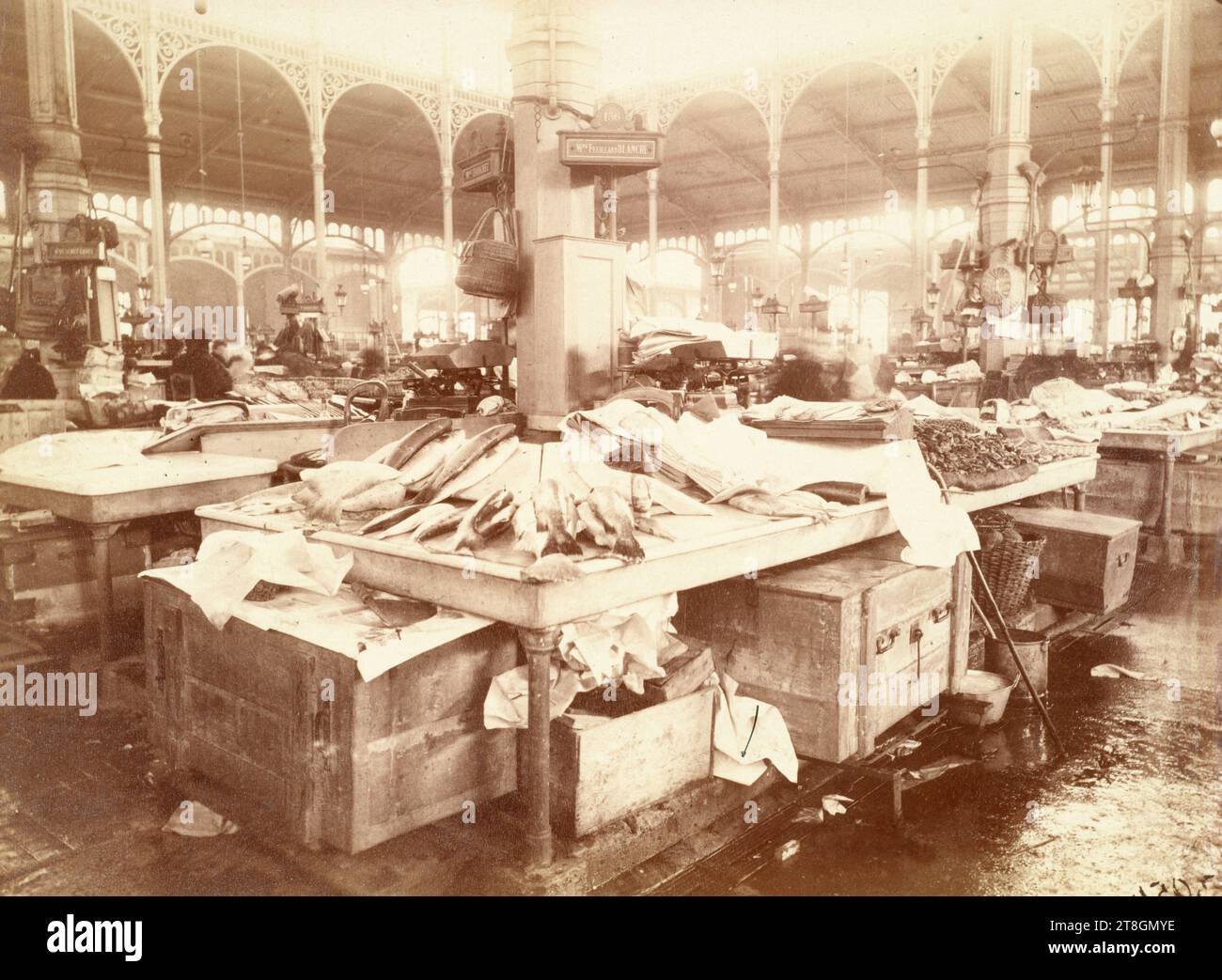 Exposition de poissons, au marché des Halles, pavillon Baltard, 1e arrondissement, Paris, Atget, Eugène (Jean Eugène Auguste Atget), photographe, en 1898, Photographie, Arts graphiques, photographie, tirage albumen, Dimensions - oeuvre : hauteur : 17,1 cm, largeur : 23,3 cm, Dimensions - montage original:, hauteur : 23,9 cm, largeur : 29,7 cm Banque D'Images