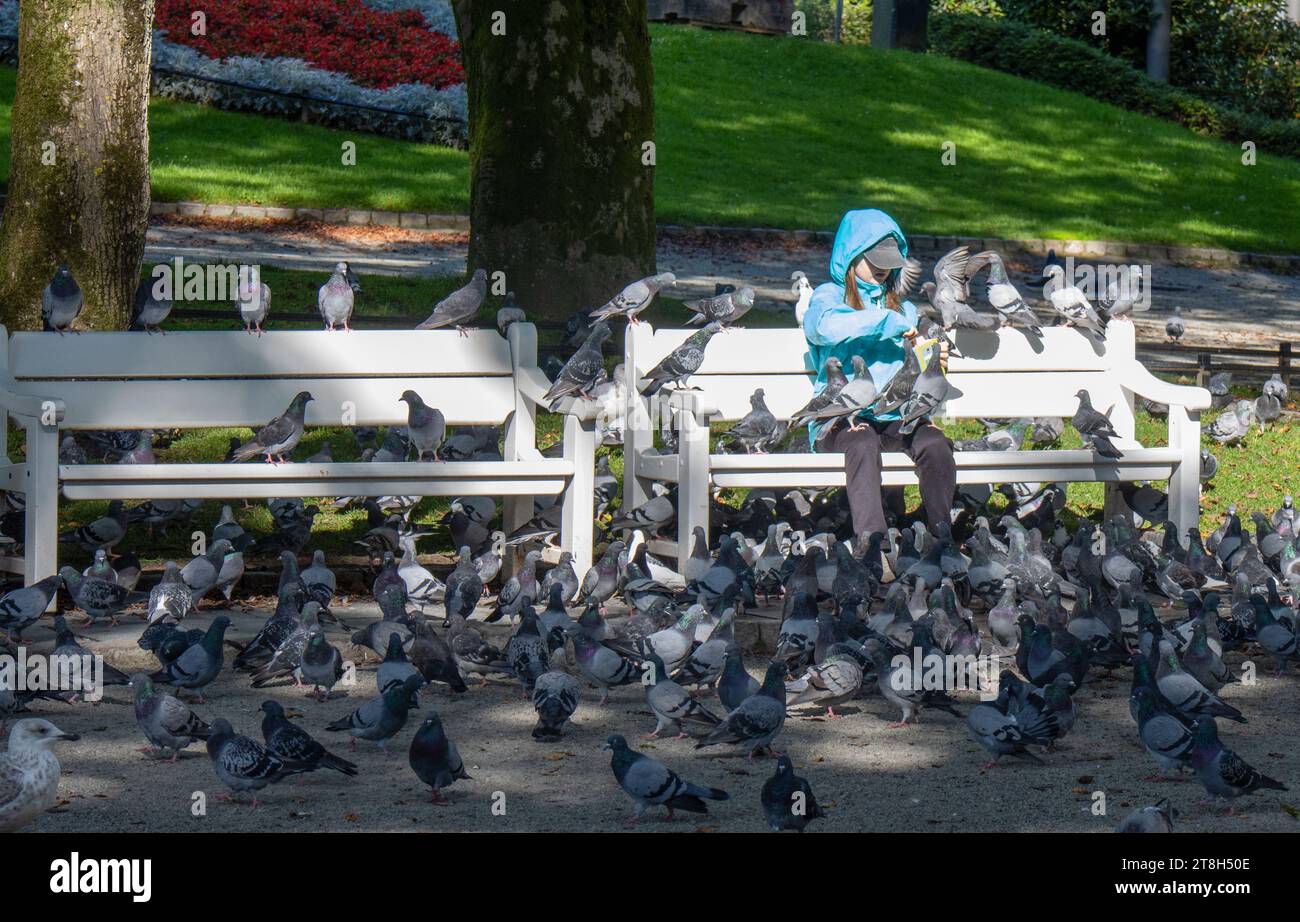 Niña sentada en un banco de madera blanca, completamente rodeada de palomas a las que alimenta. Banque D'Images