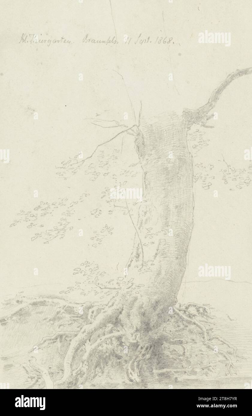 CARL THEODOR REIFFENSTEIN, arbre aux racines exposées près de Braunfels, 11 septembre 1868, feuille, 165 x 108 mm, crayon sur papier, arbre aux racines exposées près de Braunfels, CARL THEODOR REIFFENSTEIN, page, rubans adhésifs, volume 28, page 44, référence / globale, 1 / 2, zone BRAUNFELS, 19E SIÈCLE, DESSIN, crayon sur papier, MÉLANGE GRAPHITE-ARGILE, PAPIER, DESSIN AU CRAYON, ALLEMAND, ÉTUDE D'ARBRE, ÉTUDE DE VOYAGE, ÉTUDE, datée et inscrite en haut à gauche, au crayon, KL. Thiergarten, Braunfels. 11 septembre 1868., numéroté sur la page sous le dessin, au crayon Banque D'Images