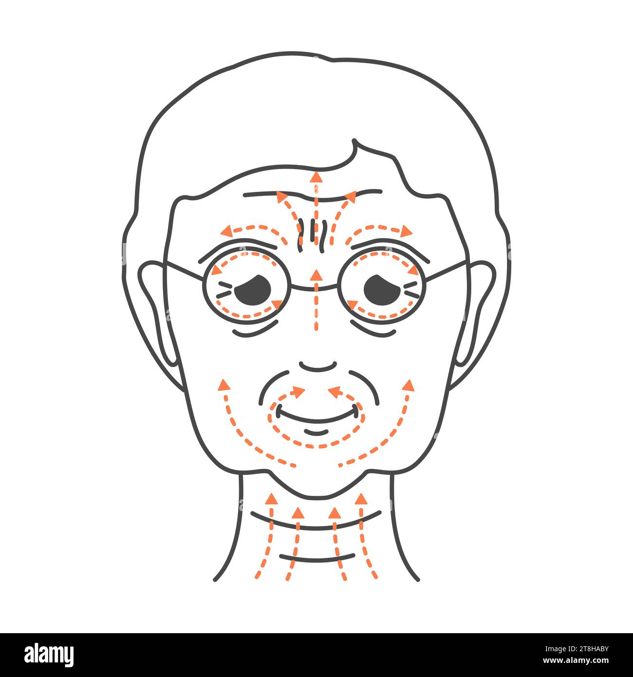 Illustration des lignes de massage sculptant le visage DIY Illustration de Vecteur