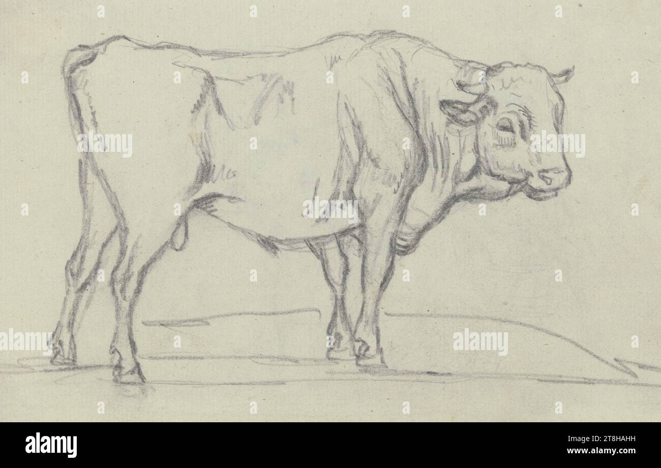 MAX JOSEPH WAGENBAUER, lapin à droite, feuille, 105 x 175 mm, crayon sur papier vergé bleu, lapin à droite, MAX JOSEPH WAGENBAUER, femme, traire une chèvre, 19E SIÈCLE, DESSIN, crayon sur papier vergé bleu, MÉLANGE GRAPHITE-ARGILE, PAPIER vergé, DESSIN AU CRAYON, ALLEMAND, ÉTUDE ANIMALE, verso inscrit en bas à droite, au crayon, 1060 [barré] Banque D'Images