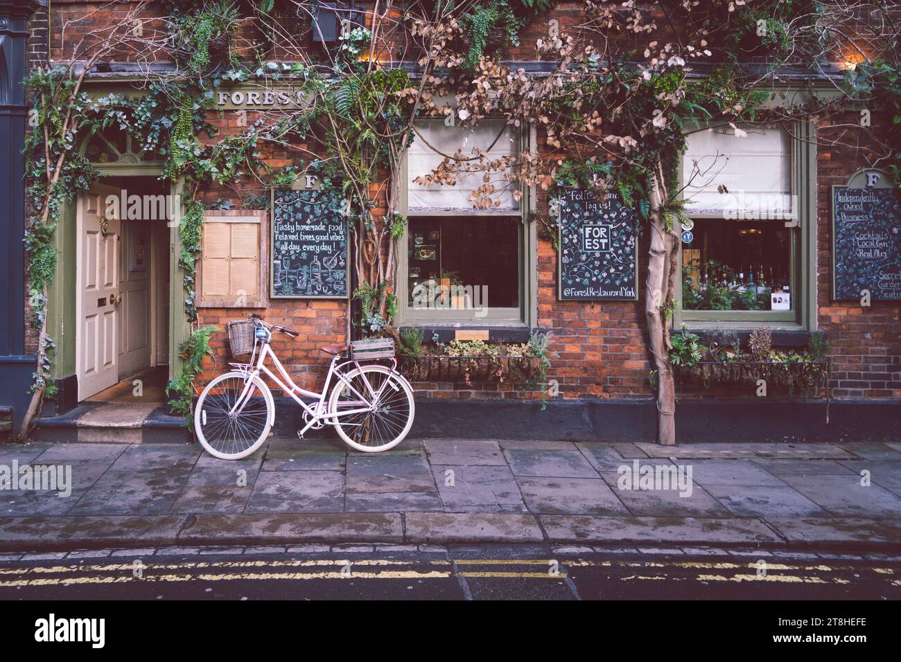 SWINEGATE, YORK, ROYAUME-UNI - 17 NOVEMBRE 2023. Un restaurant à l'ancienne extérieur à Swinegate, York avec des vignes et des plantes rampantes donnant un continental Banque D'Images