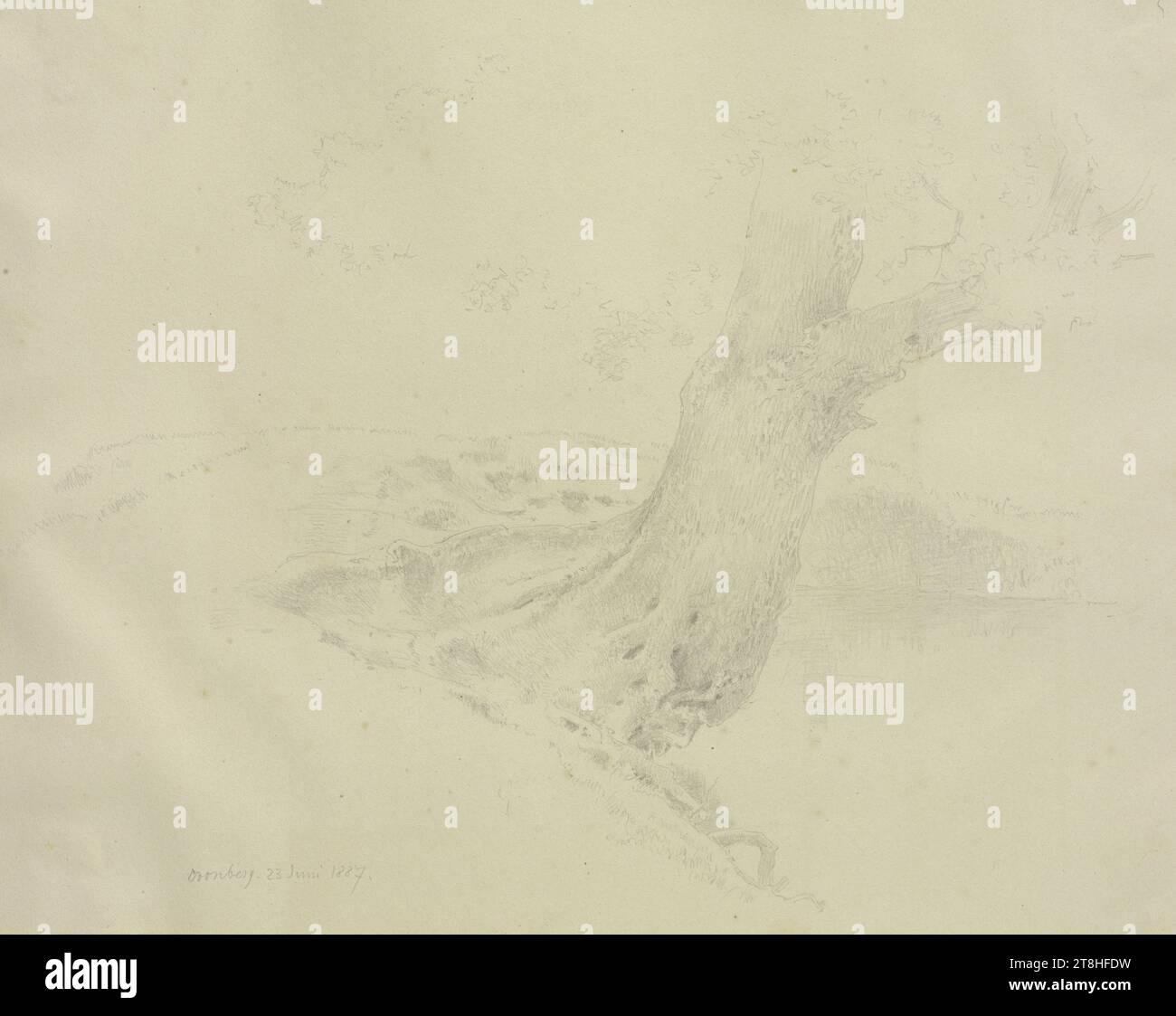 CARL THEODOR REIFFENSTEIN, vieil arbre sur une banque, 23 juin 1887, feuille, 217 x 279 mm, crayon sur papier, vieil arbre sur une banque, CARL THEODOR REIFFENSTEIN, page, rubans adhésifs, volume 41, page 57, référence / total, 1 / 2, KRONBERG DANS LA RÉGION DE TAUNUS, 19E SIÈCLE, DESSIN, crayon sur papier, MÉLANGE GRAPHITE-ARGILE, PAPIER, DESSIN AU CRAYON, ALLEMAND, ÉTUDE DES ARBRES, ÉTUDE DES VOYAGES, ETUDE, datée et inscrite en bas à gauche, au crayon, Cronberg. 23 juin 1887., numéroté sur la page au-dessus du dessin, au stylo noir Banque D'Images