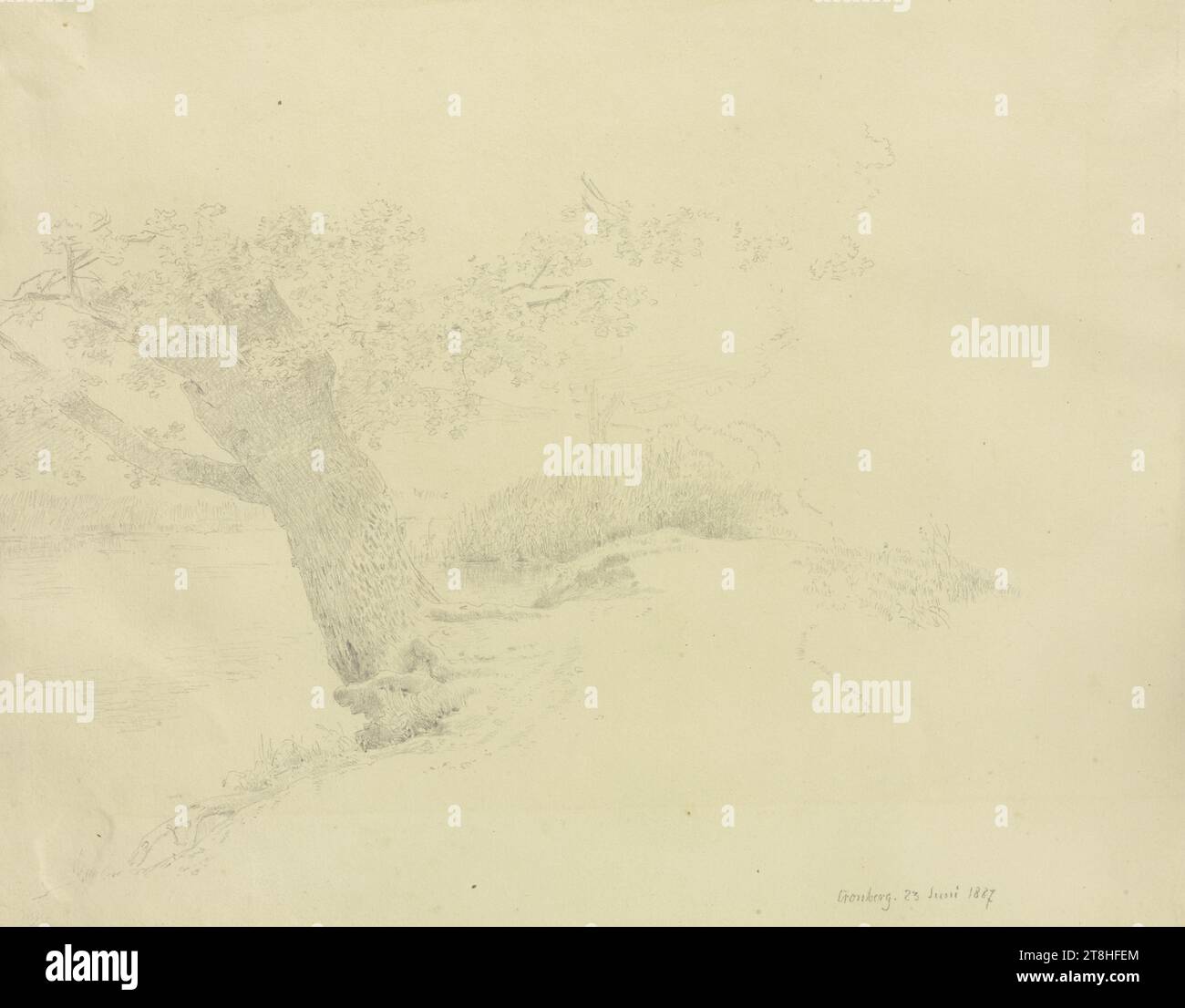 CARL THEODOR REIFFENSTEIN, vieil arbre sur une banque, 23 juin 1887, feuille, 218 x 275 mm, crayon sur papier, vieil arbre sur une banque, CARL THEODOR REIFFENSTEIN, page, rubans adhésifs, volume 41, page 59, référence / total, 1 / 1, KRONBERG DANS LA RÉGION DE TAUNUS, 19E SIÈCLE, DESSIN, crayon sur papier, MÉLANGE GRAPHITE-ARGILE, PAPIER, DESSIN AU CRAYON, ALLEMAND, ÉTUDE DES ARBRES, ÉTUDE DES VOYAGES, ETUDE, datée et inscrite en bas à droite, au crayon, Cronberg. 23 juin 1887 Banque D'Images