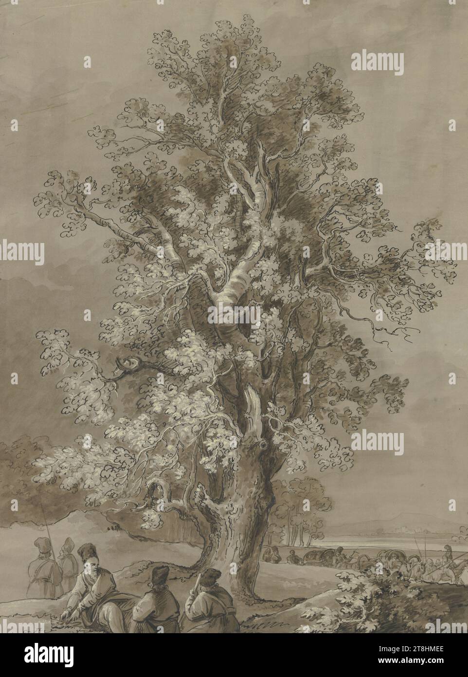 JOSEF FISCHER, vieil arbre avec extrémités portantes, 1799, feuille, 638 x 478 mm, pinceau en brun, rehaussé de blanc, sur papier, vieil arbre avec extrémités portantes, JOSEF FISCHER, 18E SIÈCLE, BAROQUE, DESSIN, pinceau en brun, rehaussé de blanc, sur papier, ENCRE?, ENCRE?, BLANC OPAQUE, PAPIER, DESSIN AU PINCEAU, SURLIGNAGE BLANC, ALLEMAND, DESSIN SUR LA PHOTO, signé et daté en bas au centre : Fischer / 1799, verso inscrit en bas à gauche : fe, Banque D'Images