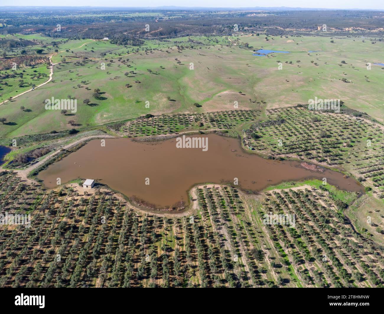 Vue aérienne du réservoir du ruisseau Barcena pour l'irrigation d'une ferme pour la culture d'oliviers dans le village de Beas entre les pâturages et l'hydromel vert Banque D'Images