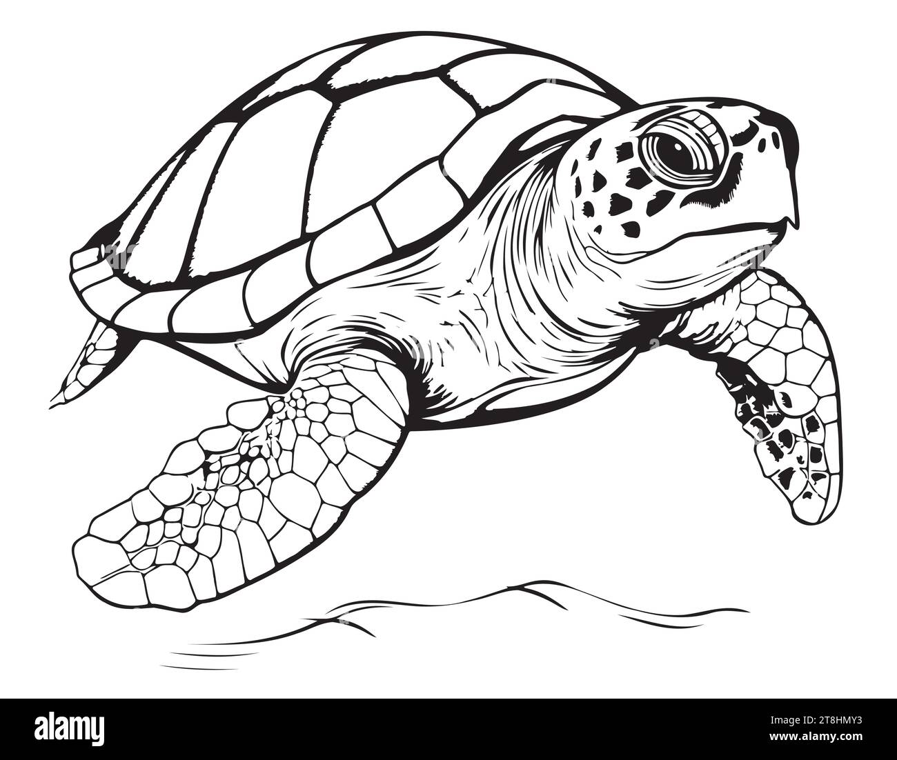 Tortue de mer dessin de style gravure dessiné à la main animaux sous-marins illustration vectorielle. Illustration de Vecteur