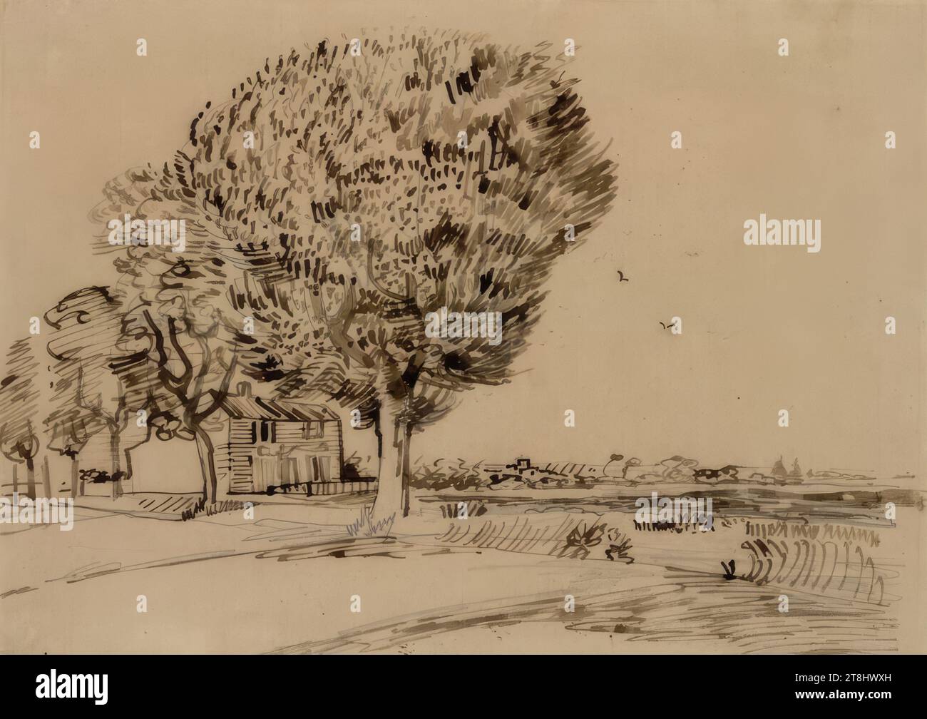 Paysage avec maison et arbres, Vincent Van Gogh, Groot Zundert 1853 - 1890 Auvers-sur-Oise, juin 1888, Arles, dessin, crayon, Rohrfehder en brun, 25,3 × 34,5 cm, 9 15/16 × 13 9/16 in., l.l. '26871 Banque D'Images