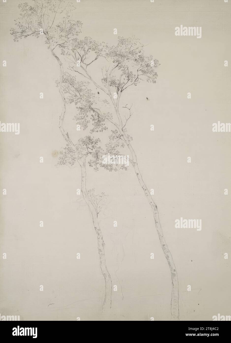 Dessin au crayon noir Banque de photographies et d’images à haute