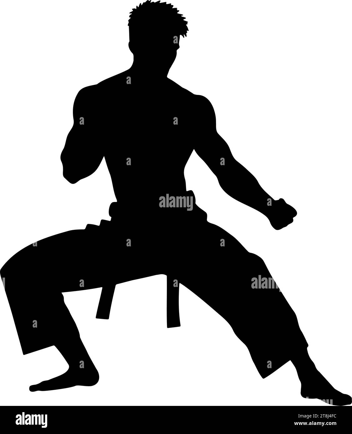 Silhouette masculine de combattant d'arts martiaux. illustration vectorielle Illustration de Vecteur
