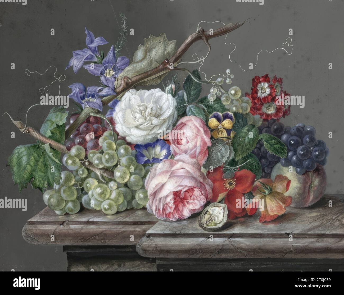 Nature morte avec roses et raisins, Franz Xaver Petter, Vienne 1791 - 1866 Vienne, 1828, dessin, aquarelle, selon Cahier : 25,1 x 31,6 cm, Autriche Banque D'Images