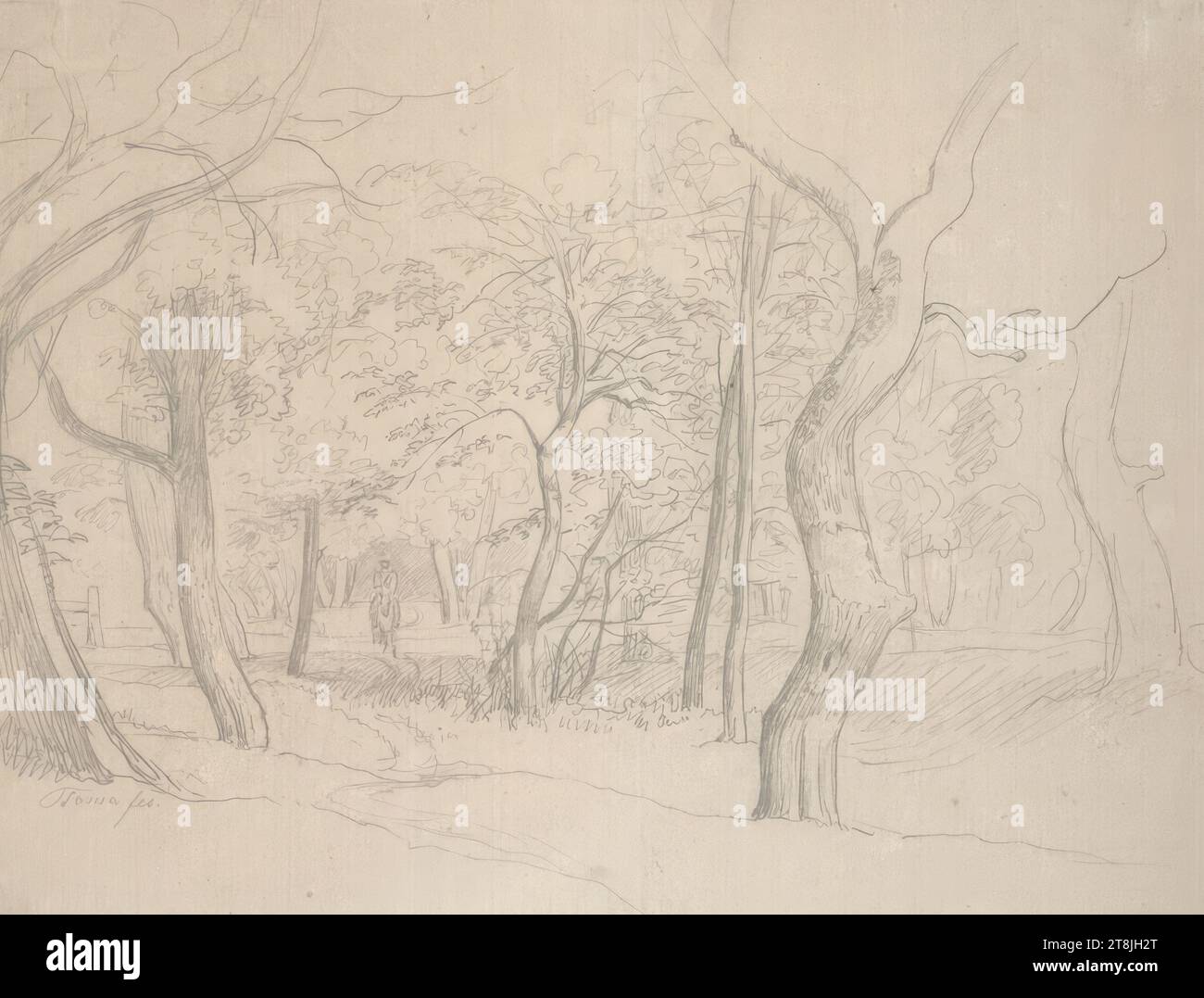 Forêt avec cavalier, carnet de croquis Toma Matthias Rudolf ; 29 croquis collés au crayon, pages collées du livre sont paginées, Matthias Rudolf Toma, Vienne 1792 - 1869 Vienne, dessin, crayon, feuille : 17,6 cm x 22,3 cm, Autriche Banque D'Images