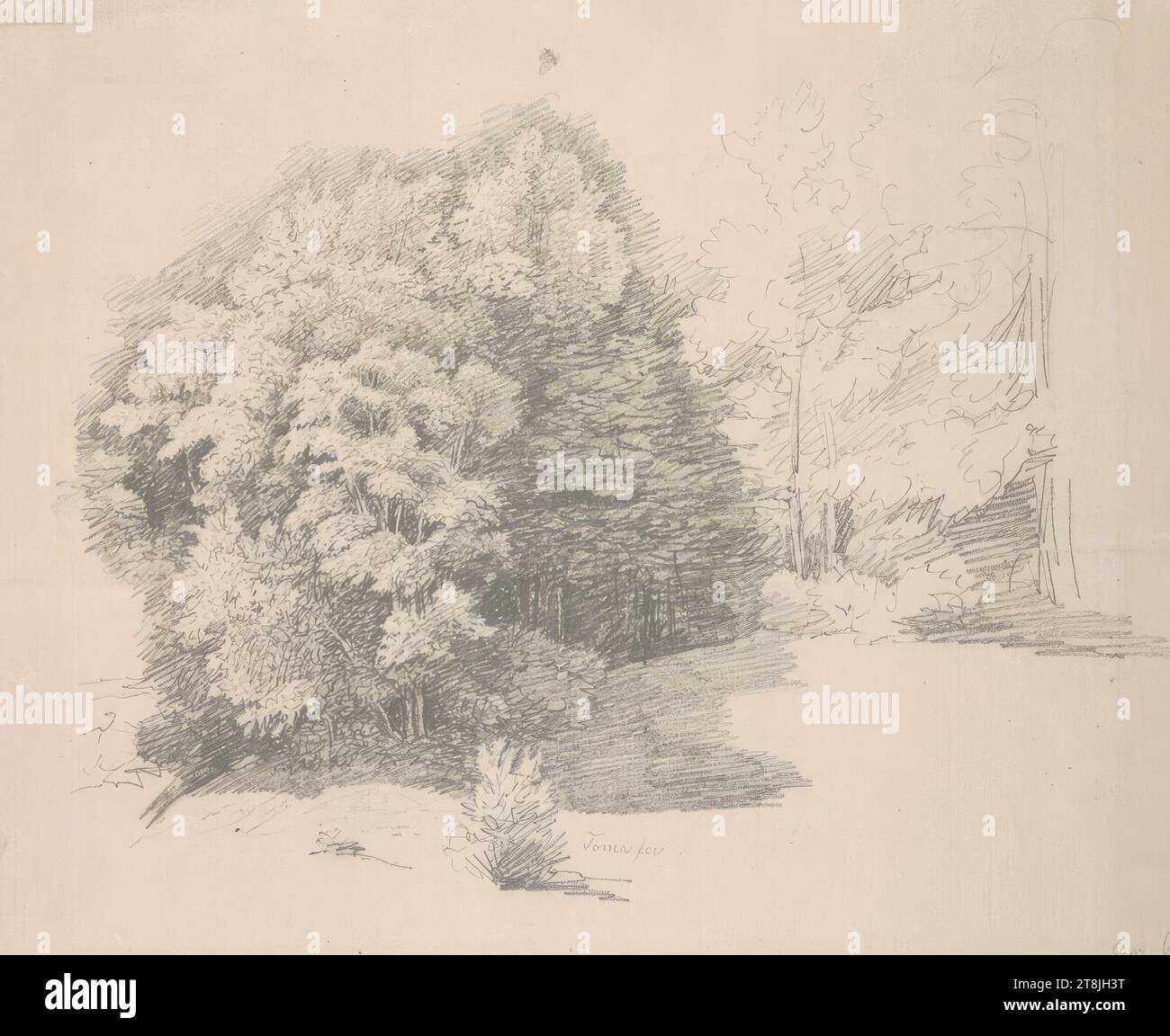 Groupes d'arbres, carnet de croquis Toma Matthias Rudolf ; 29 croquis collés au crayon, pages collées du livre sont paginées, Matthias Rudolf Toma, Vienne 1792 - 1869 Vienne, dessin, crayon, feuille : 19,5 cm x 23,5 cm, à droite. 'Am G...', crayon, recadré, Autriche Banque D'Images