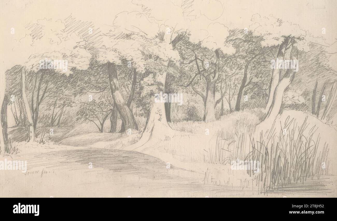 Forêt avec roseaux, carnet de croquis Toma Matthias Rudolf ; 29 croquis collés au crayon, pages collées du livre sont paginées, Matthias Rudolf Toma, Vienne 1792 - 1869 Vienne, dessin, crayon, feuille : 14,2 cm x 23,5 cm, Autriche Banque D'Images
