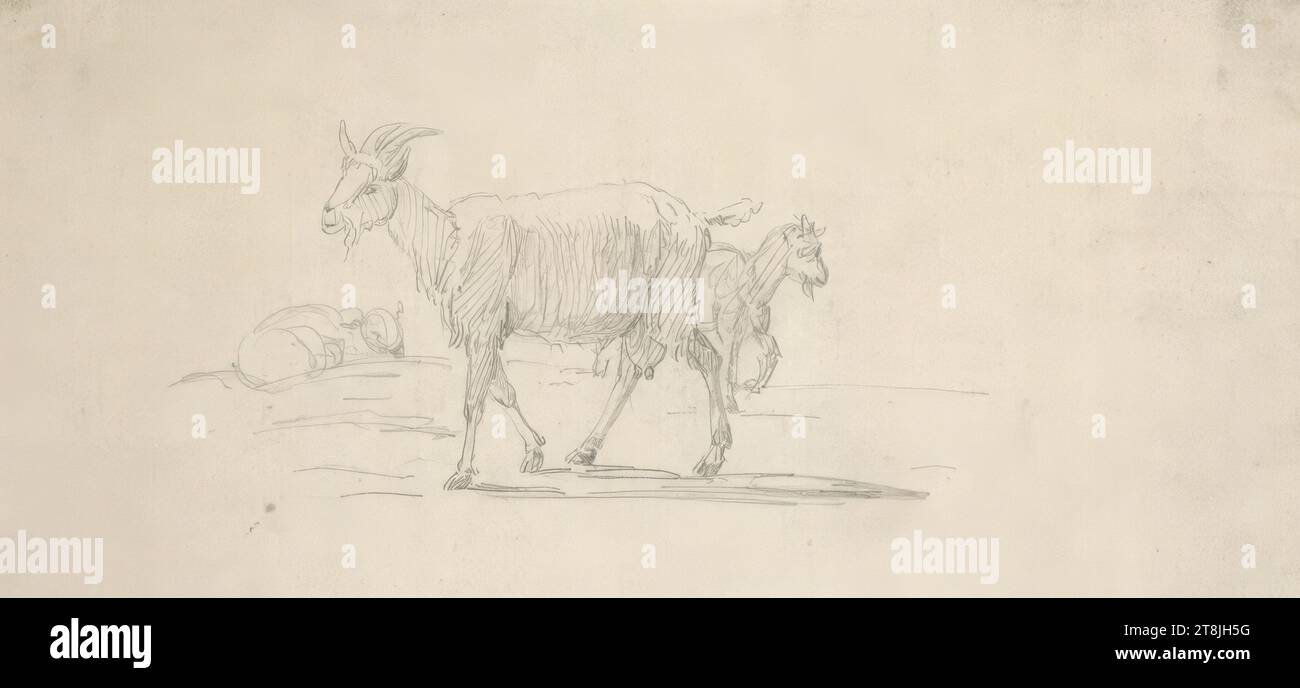 Études de chèvre, carnet de croquis Toma Matthias Rudolf ; 53 croquis collés au crayon, pages collées de livres paginées, Matthias Rudolf Toma, Vienne 1792 - 1869 Vienne, dessin, crayon, feuille : 8,5 cm x 18 cm, Autriche Banque D'Images