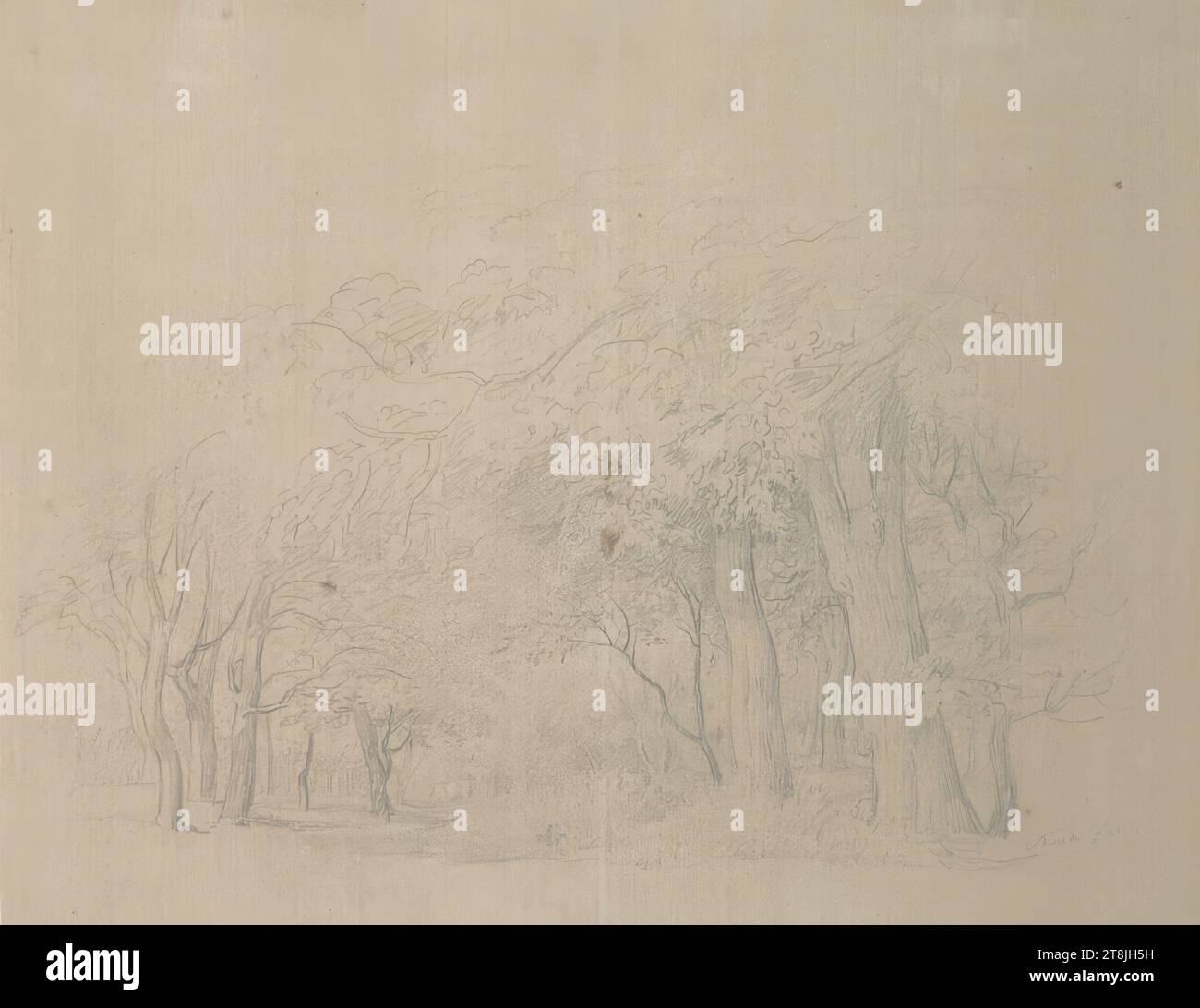 Groupes d'arbres, carnet de croquis Toma Matthias Rudolf ; 29 croquis collés au crayon, pages collées du livre sont paginées, Matthias Rudolf Toma, Vienne 1792 - 1869 Vienne, dessin, crayon, feuille : 18,5 cm x 23,3 cm, Autriche Banque D'Images