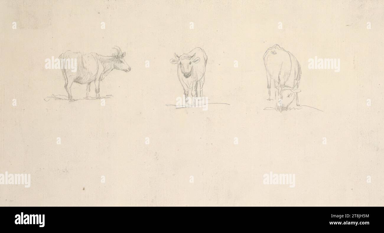 Trois études de bétail, carnet de croquis Toma Matthias Rudolf ; 53 croquis collés au crayon, pages collées de livres paginées, Matthias Rudolf Toma, Vienne 1792 - 1869 Vienne, dessin, crayon, feuille : 8,2 cm x 15,5 cm, Autriche Banque D'Images